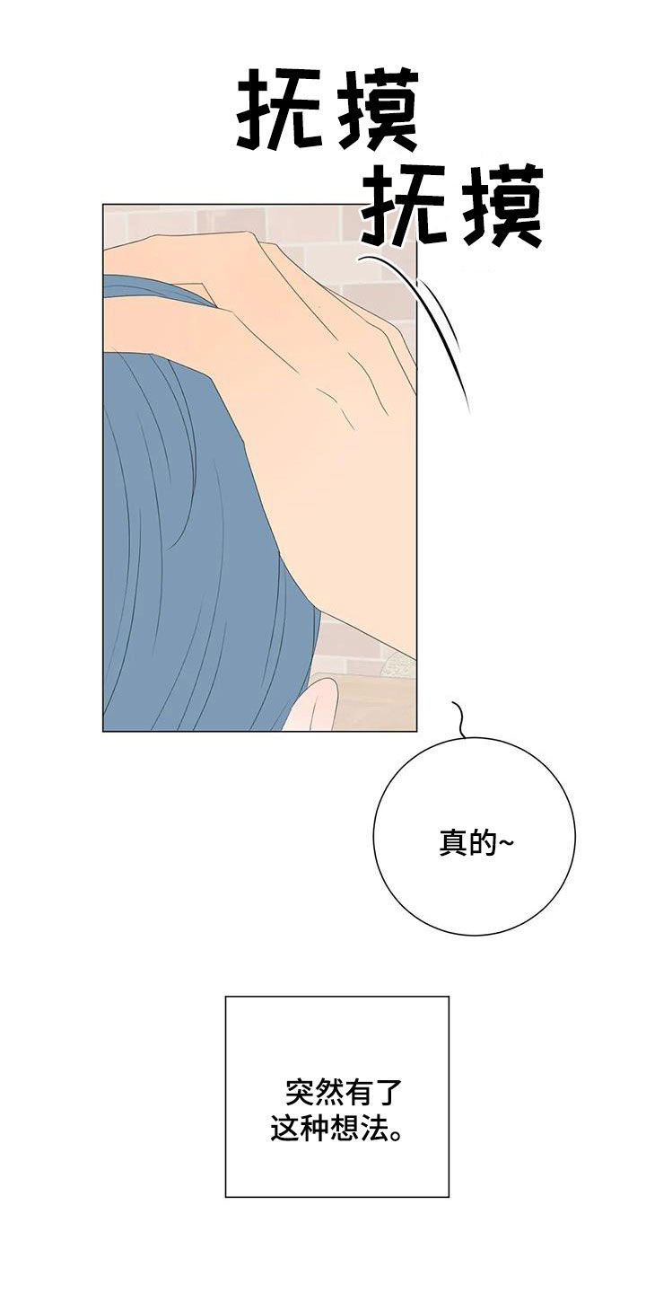 和你相爱的每一天漫画,第19章：生日2图