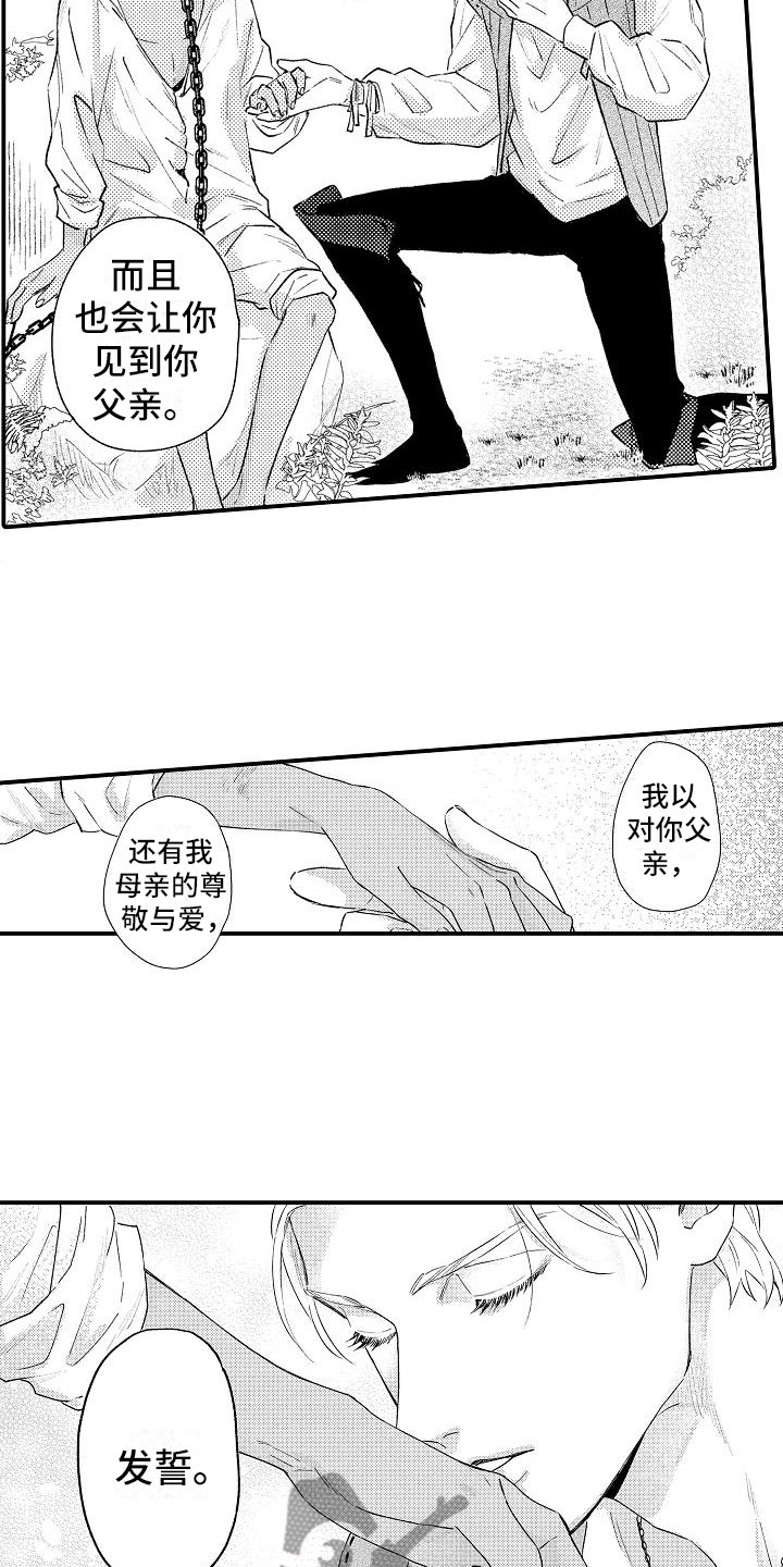 神之泪 勇者斗恶龙漫画,第19章：发誓2图