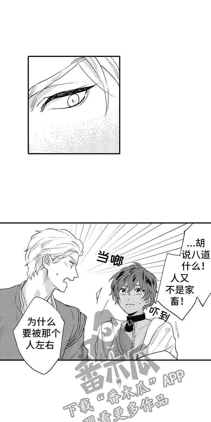 神之泪漫画,第10章：给你自由1图