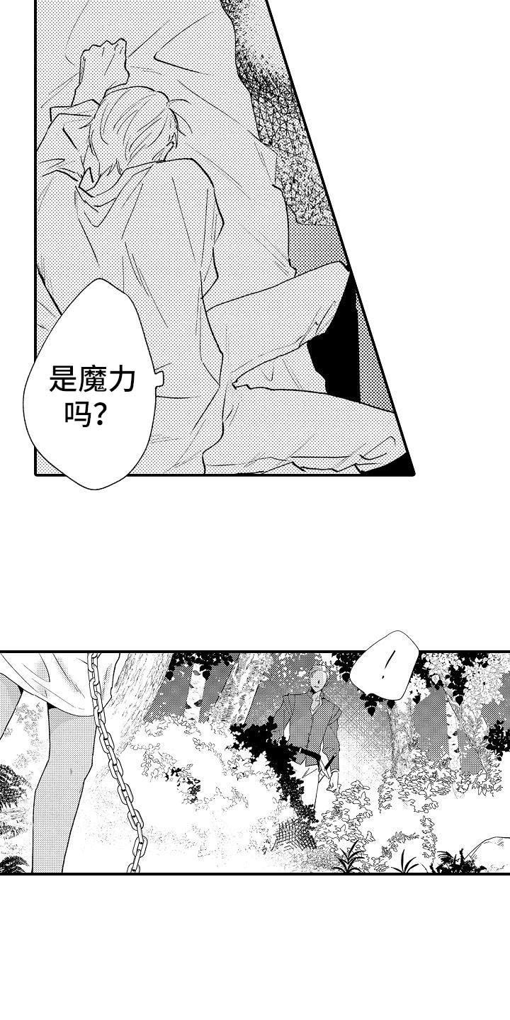 神之泪男主身份漫画,第4章：再次探查2图