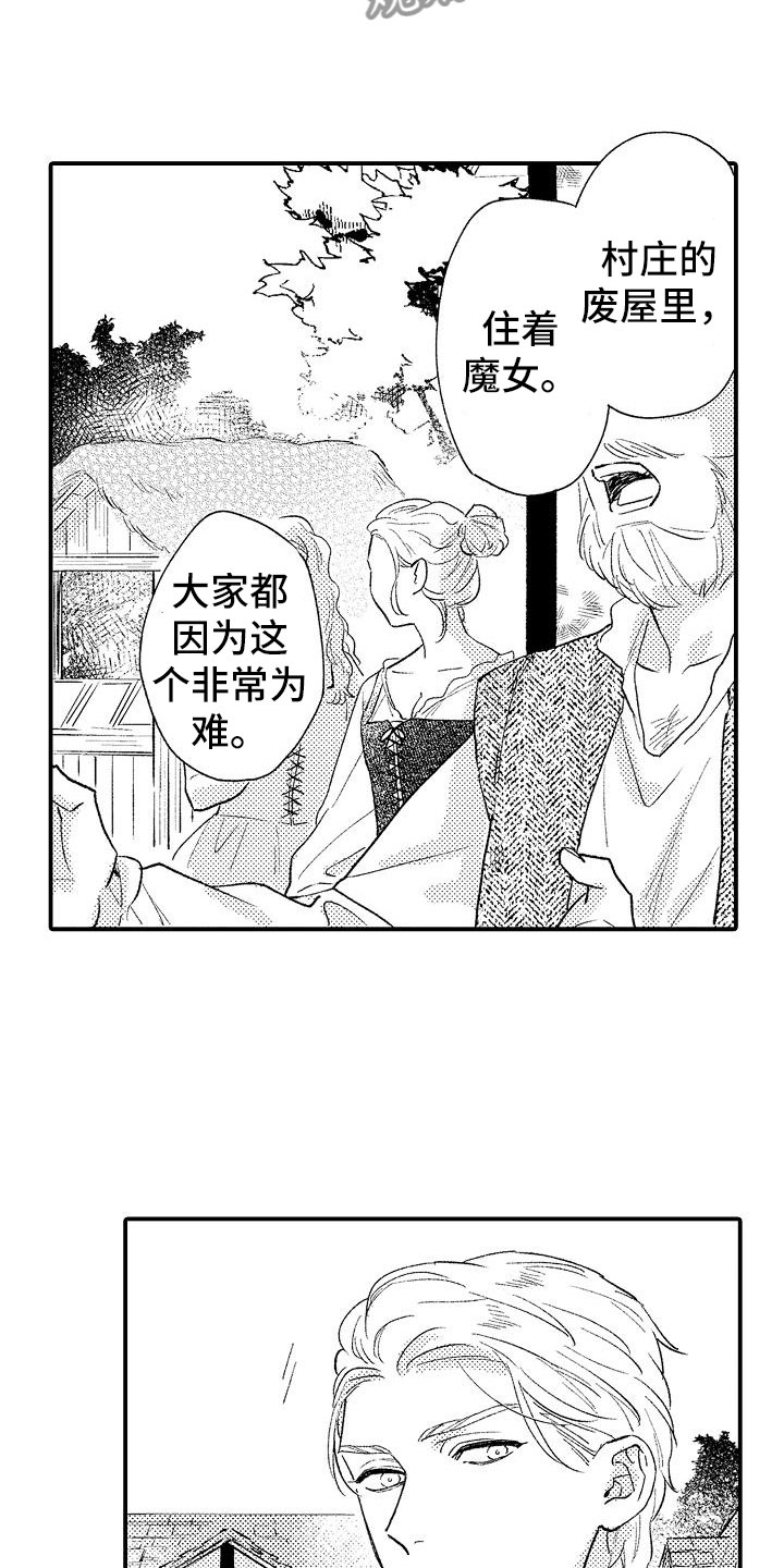 神之泪 勇者斗恶龙漫画,第12章：魔女1图