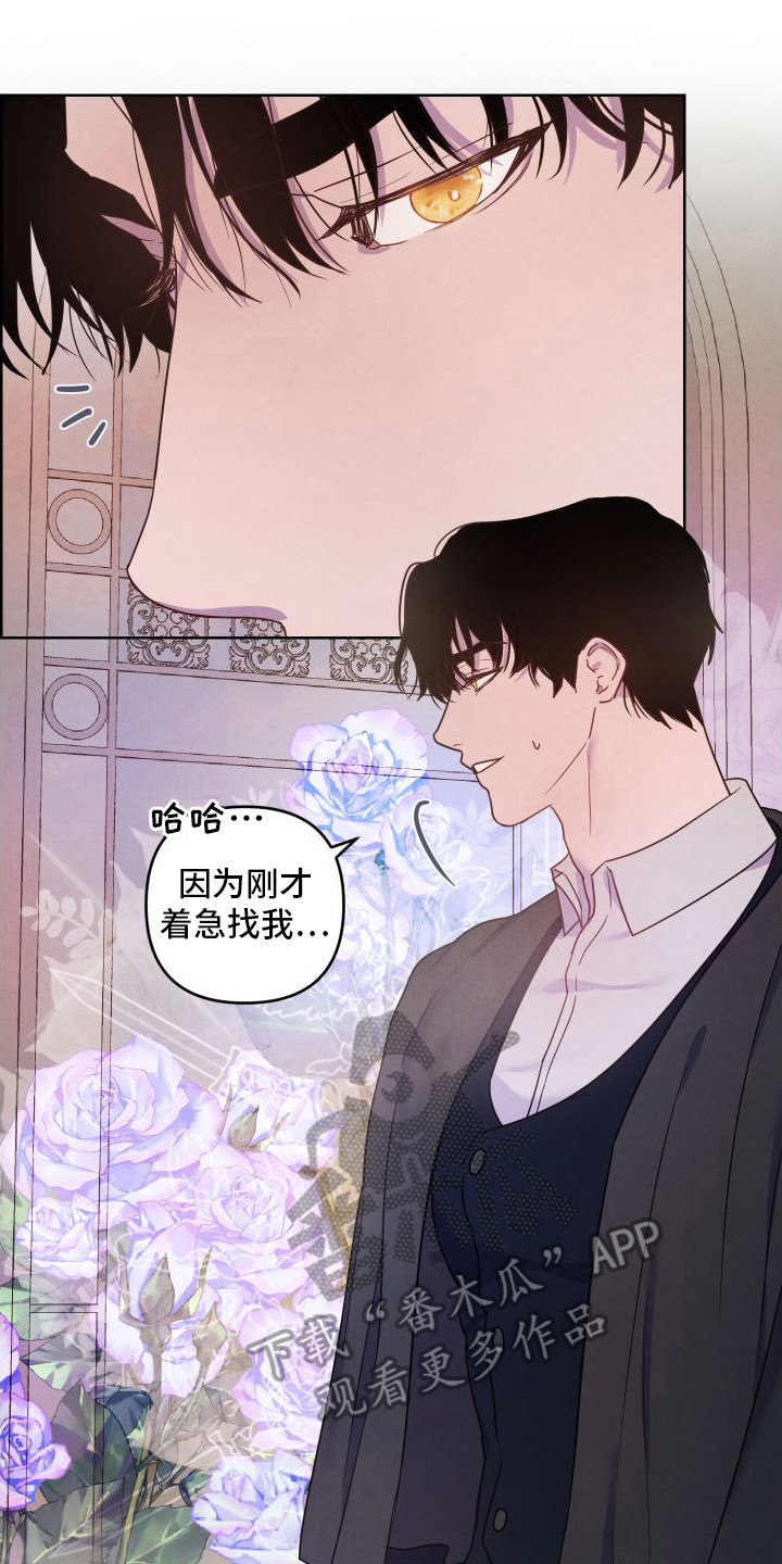 艾露莎舒卡勒托诱惑之铠漫画,第9章：印象2图