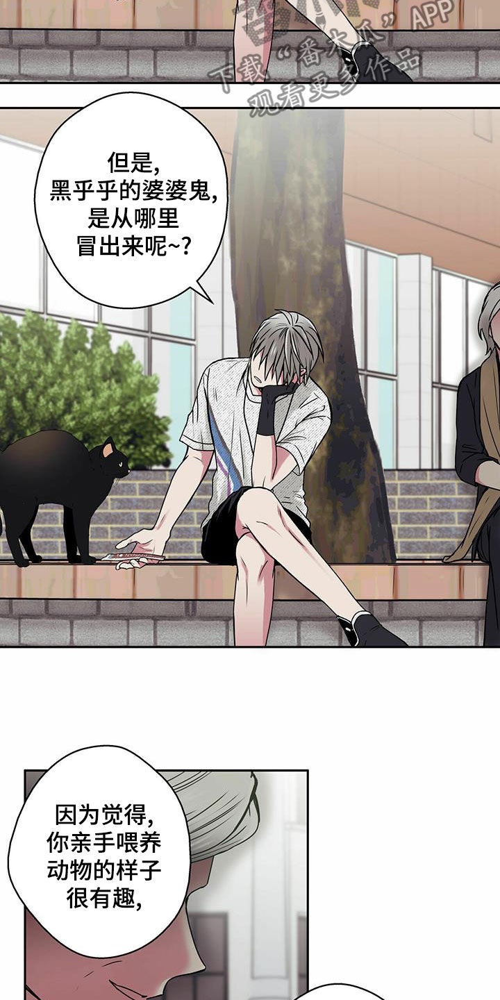 幸运额度是什么意思漫画,第22章：喂猫2图