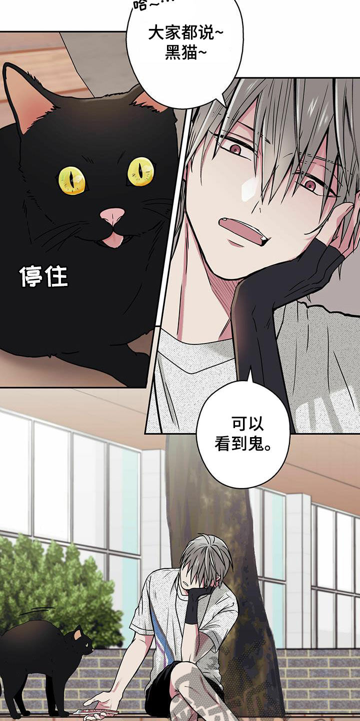 幸运额度是什么意思漫画,第22章：喂猫1图