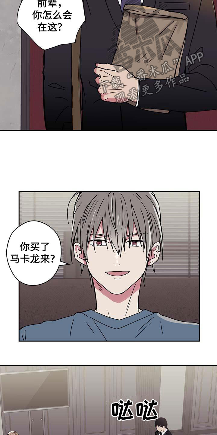 幸运额度是什么意思漫画,第47章：阻止1图