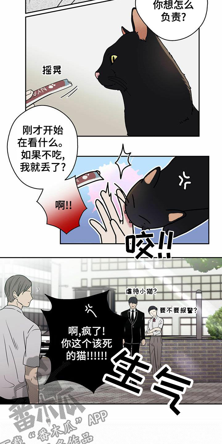 幸运额度是什么意思漫画,第22章：喂猫2图