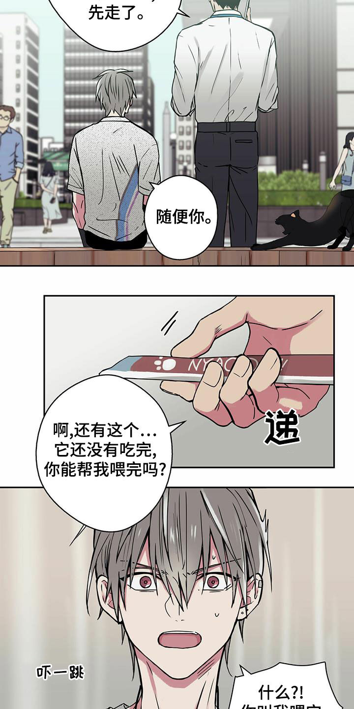 幸运额度是什么意思漫画,第22章：喂猫1图