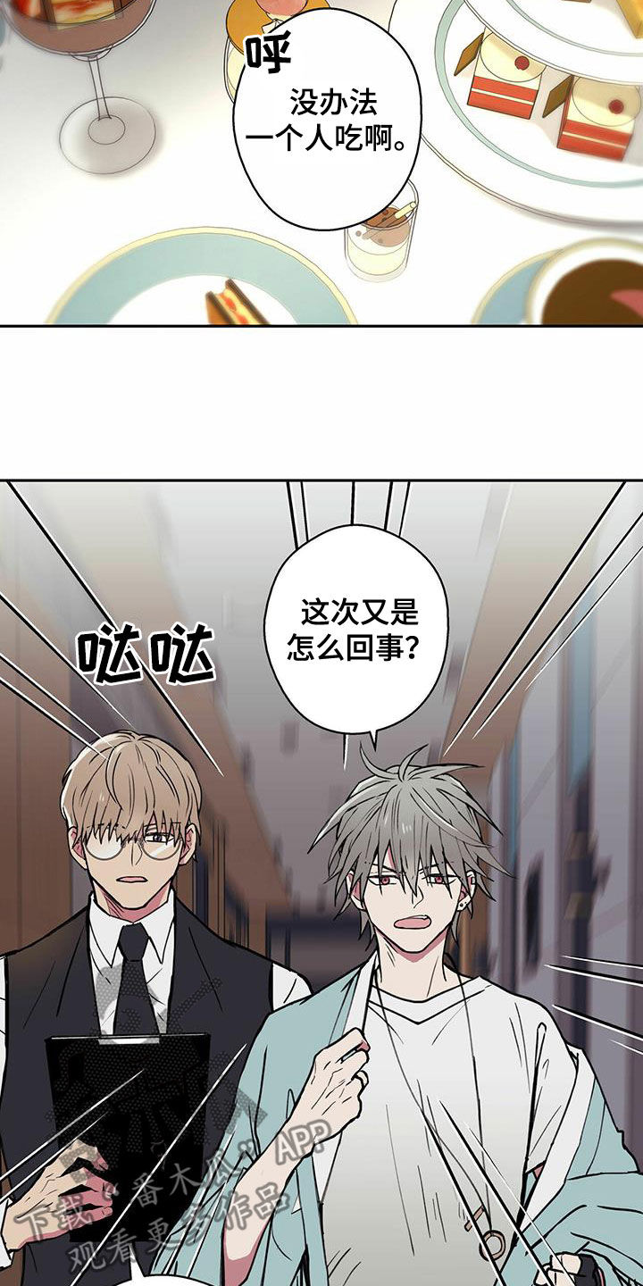 幸运额度是什么意思漫画,第19章：不要期待了1图