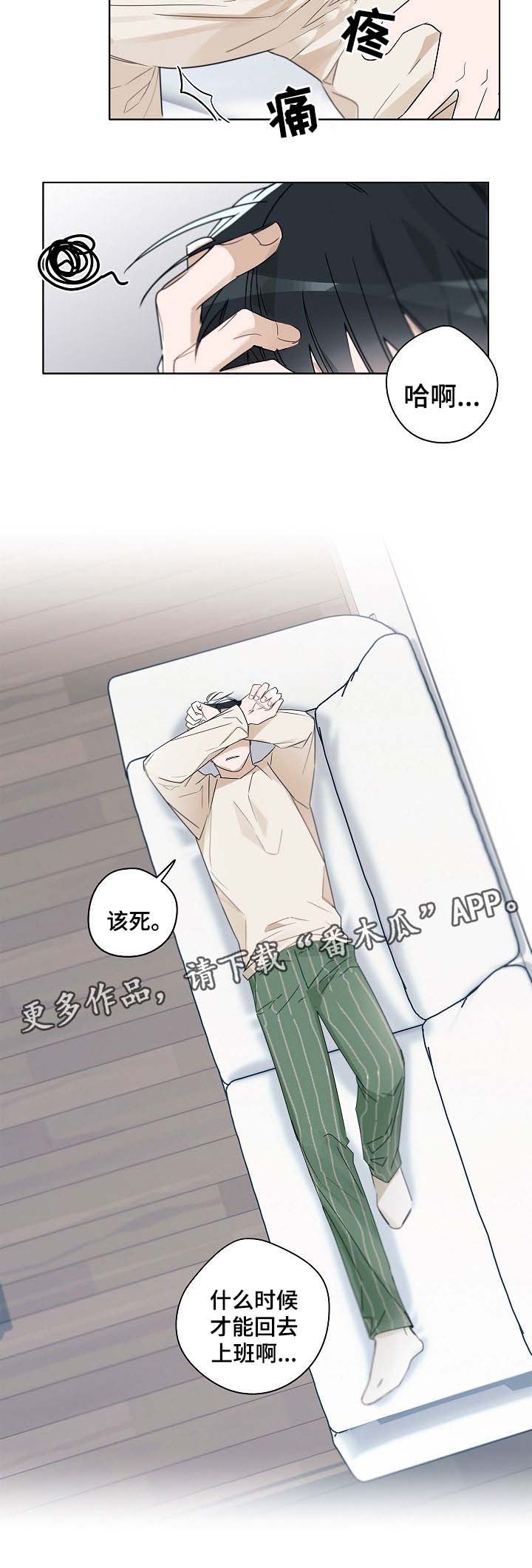内娱冤家组合漫画,第41章：律师上门1图