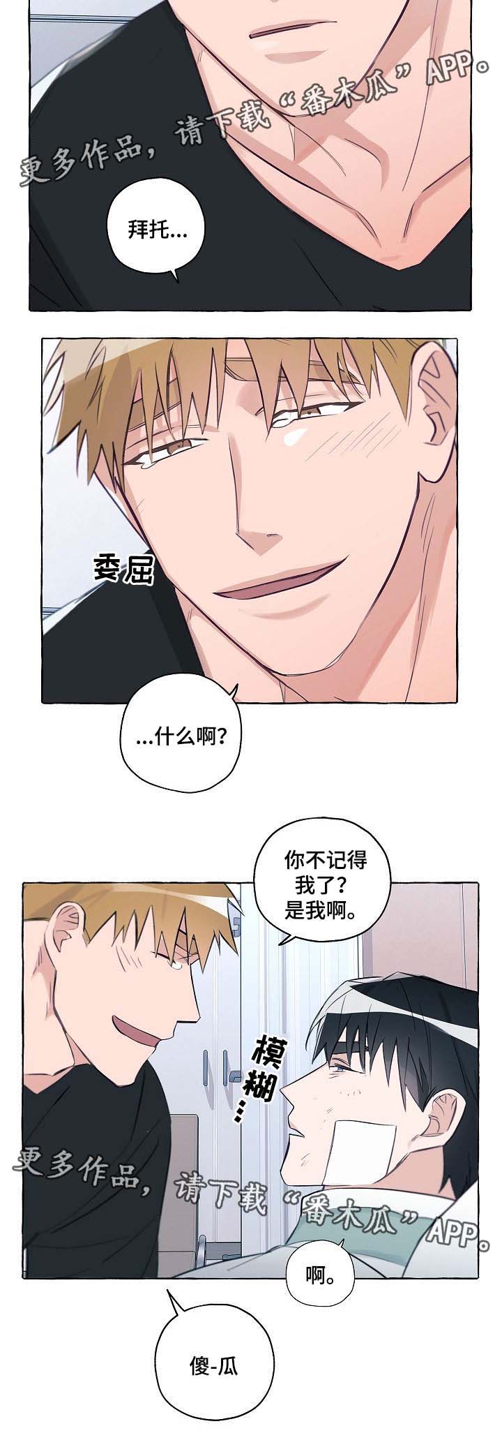 冤家互怼漫画,第37章：出院2图