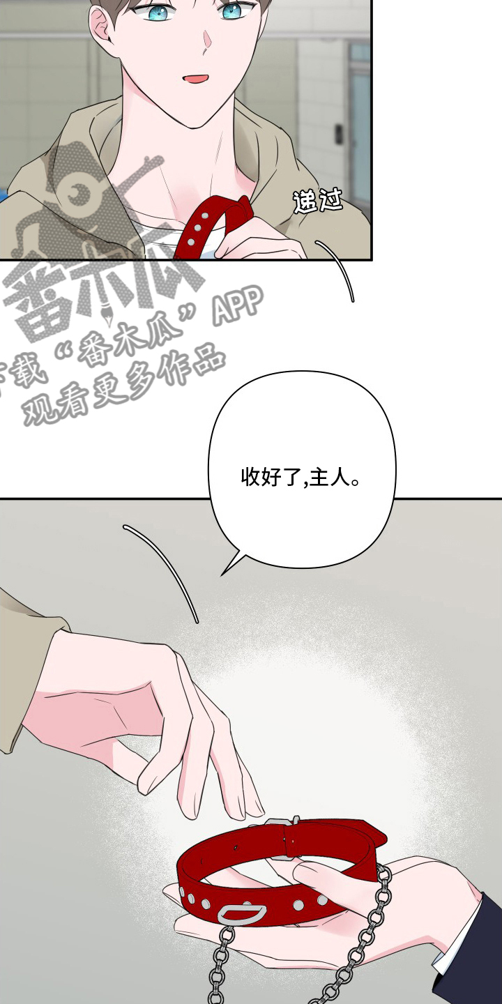 爱与激情之间漫画,第54章：【第二季】恼火1图