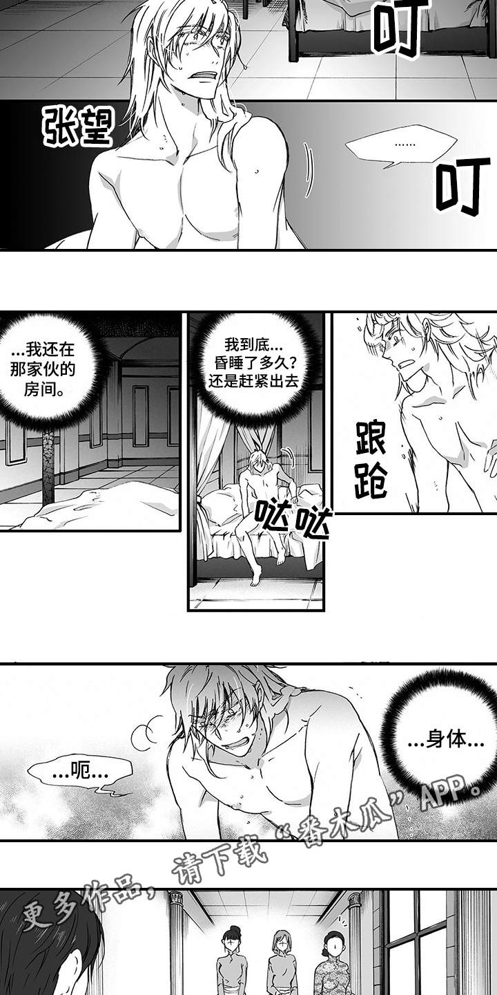 落魄王子漫画,第8章：骑士团2图