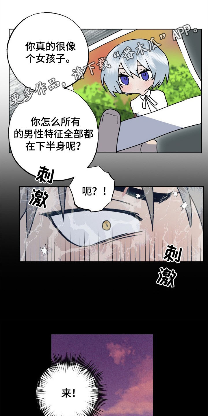 兽宠若惊漫画,第50章：新婚旅行1图