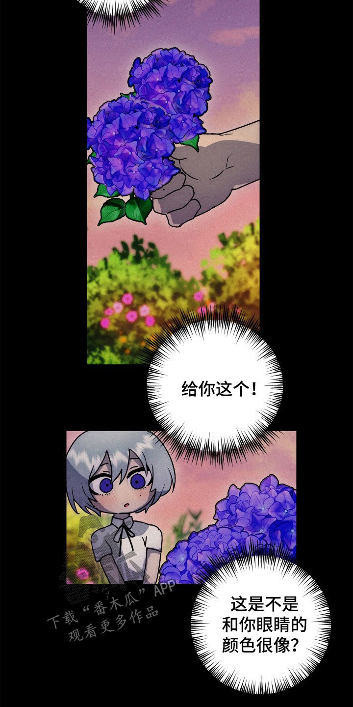 兽宠若惊漫画,第50章：新婚旅行2图