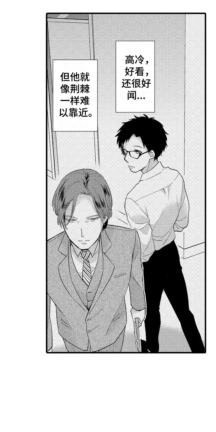荆棘之恋漫画,第1章：意外2图