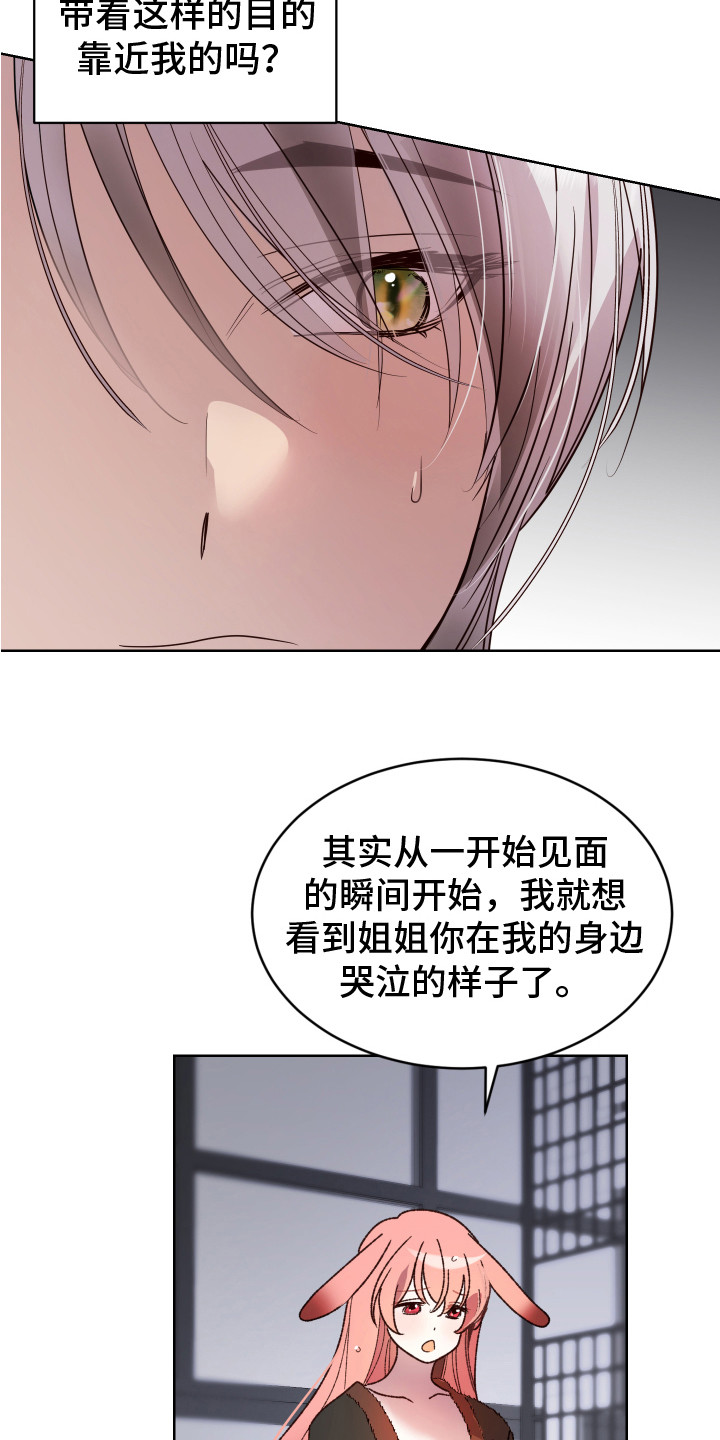 兔兔捕食记画涯漫画免费观看漫画,第10章：坦白 2图