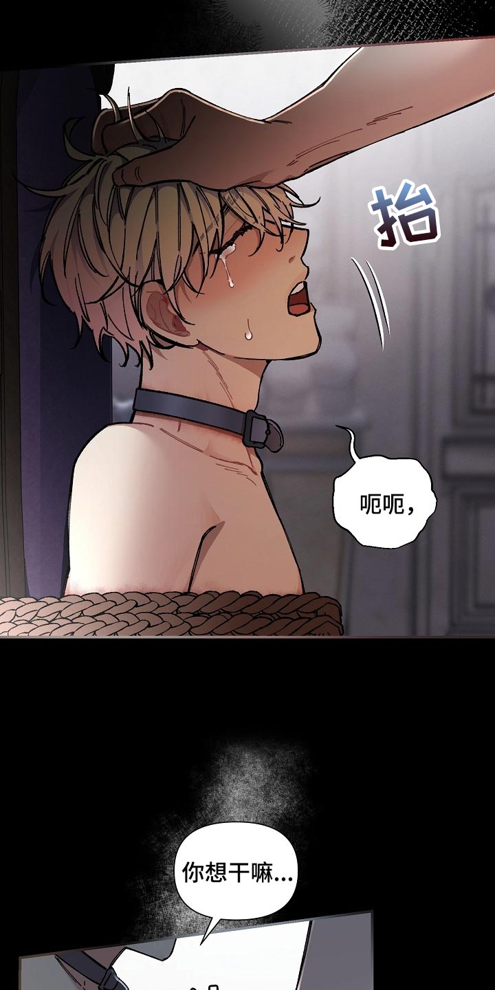 绝望列车第二季免费观看漫画,第70章：【第二季】合适的主人1图