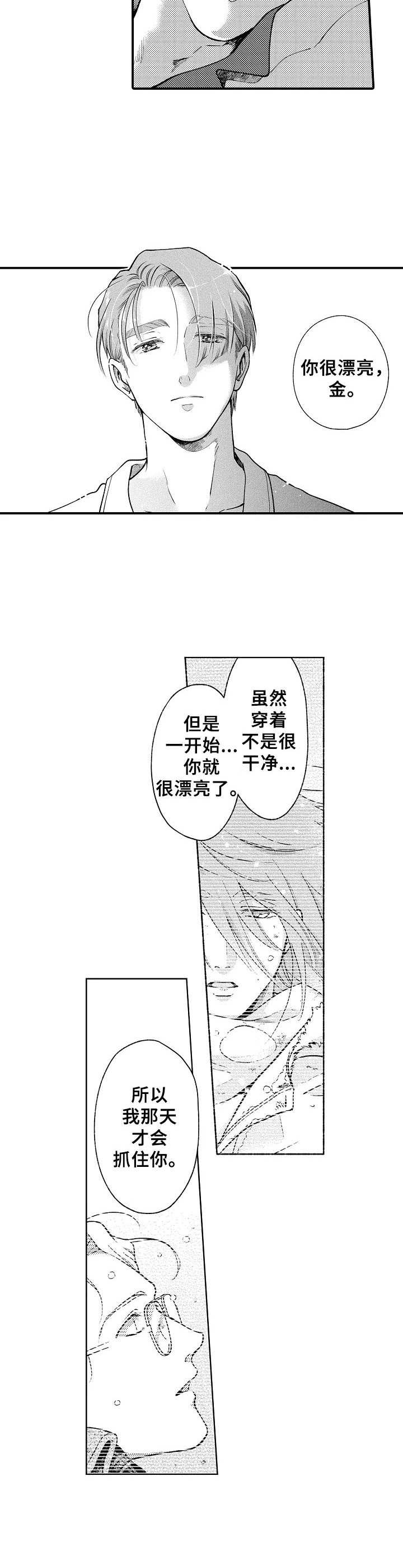 聪明的金先生漫画漫画,第26章：心意2图