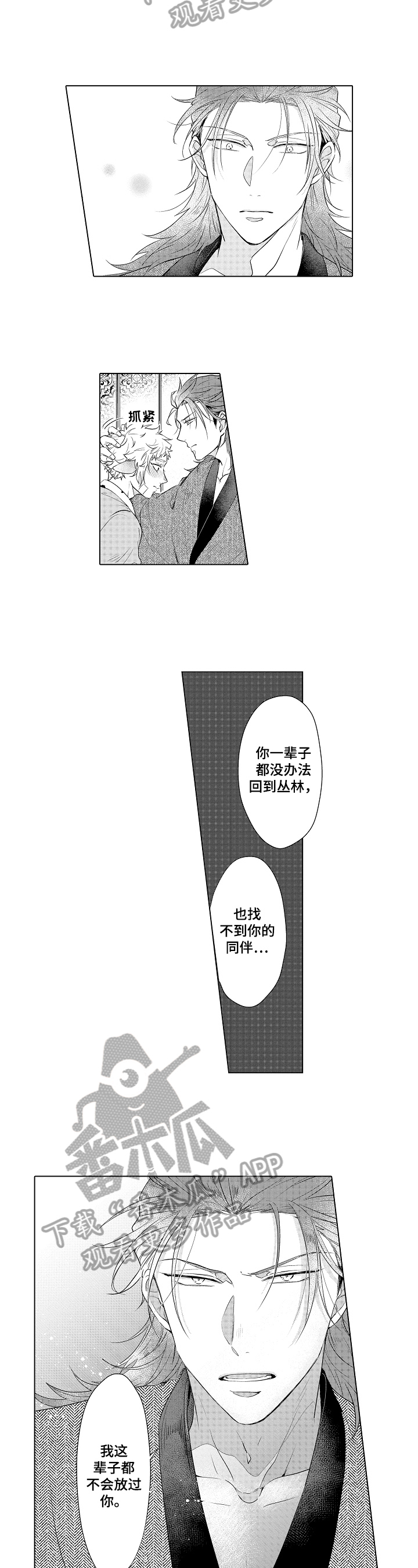 白色的野猫进家有什么说法漫画,第22章：表白1图