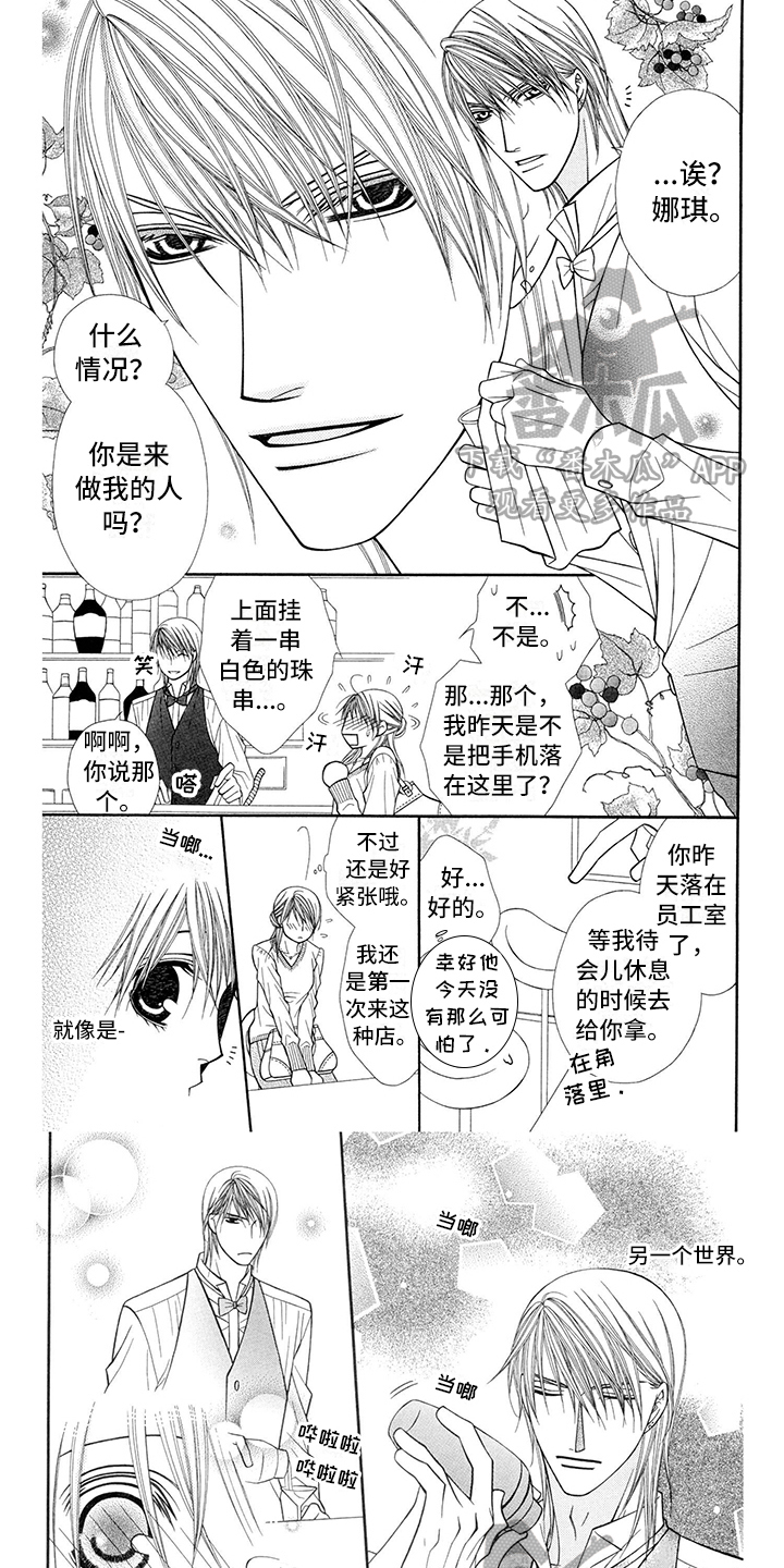 芝芙莲内衣洗衣液怎么样漫画,第34章：调酒师：吸引1图