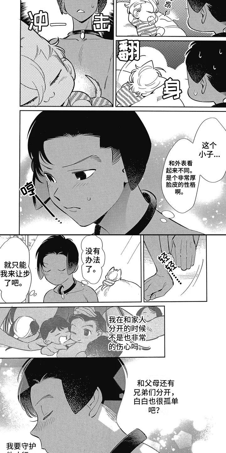 猫狗一家亲动画片漫画,第1章：新家人2图