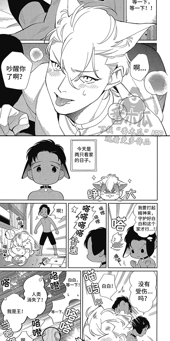 猫狗一家亲绘本教案漫画,第8章：吵醒了 1图