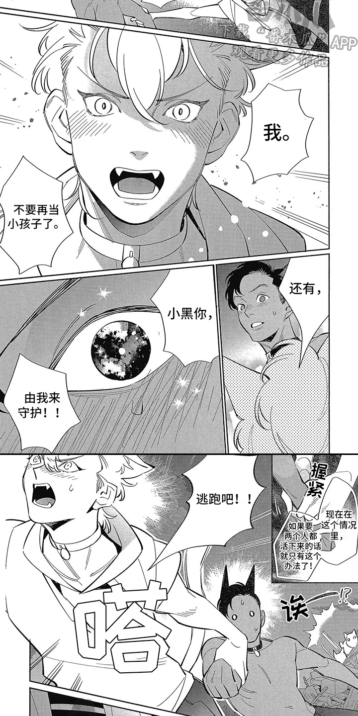 猫狗一家亲什么意思漫画,第13章：抉择2图