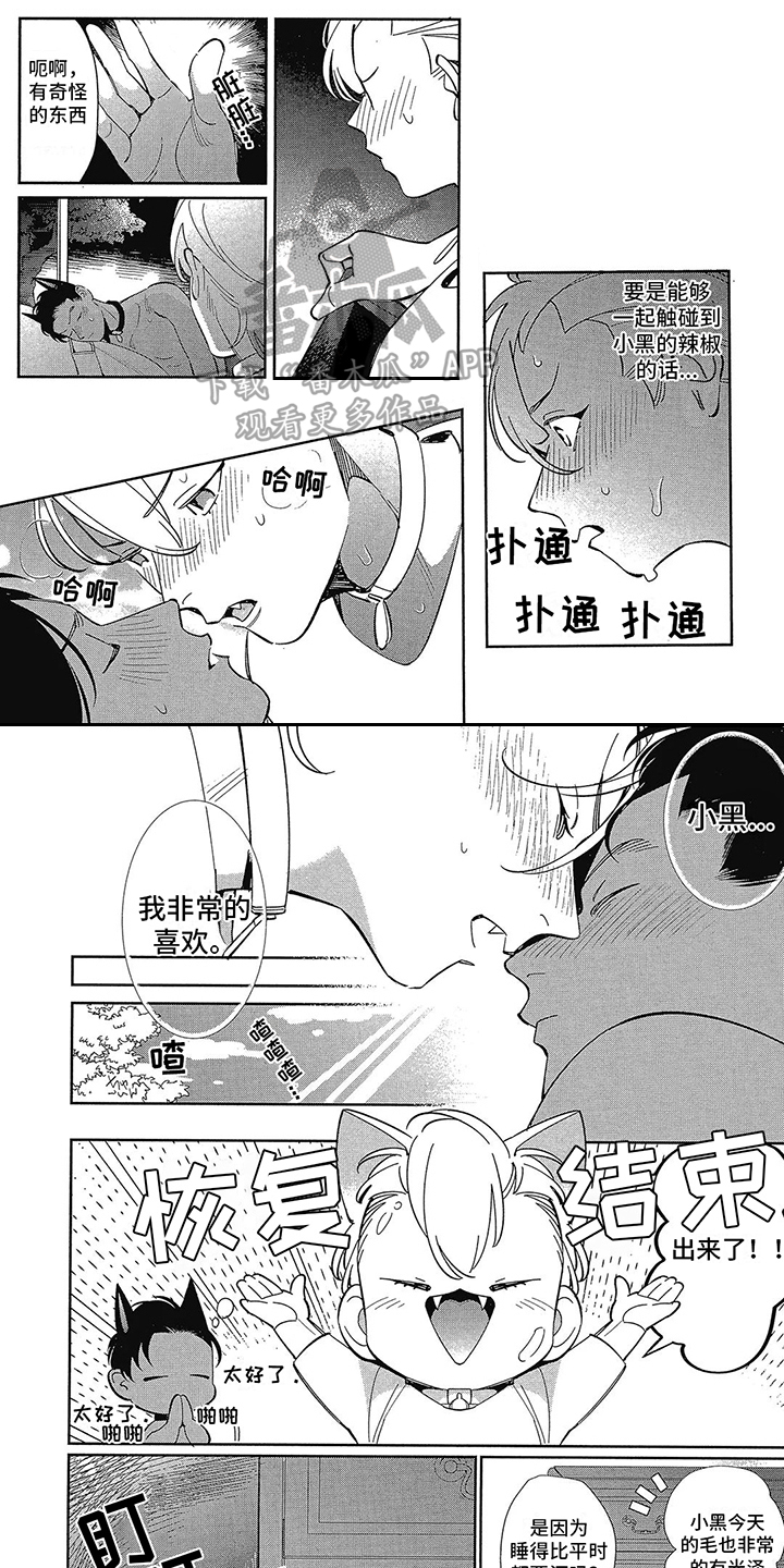 猫狗一家亲广播剧漫画,第6章：偷拍 1图