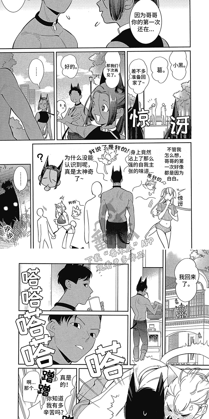 猫狗一家亲免费阅读漫画,第4章：散步2图