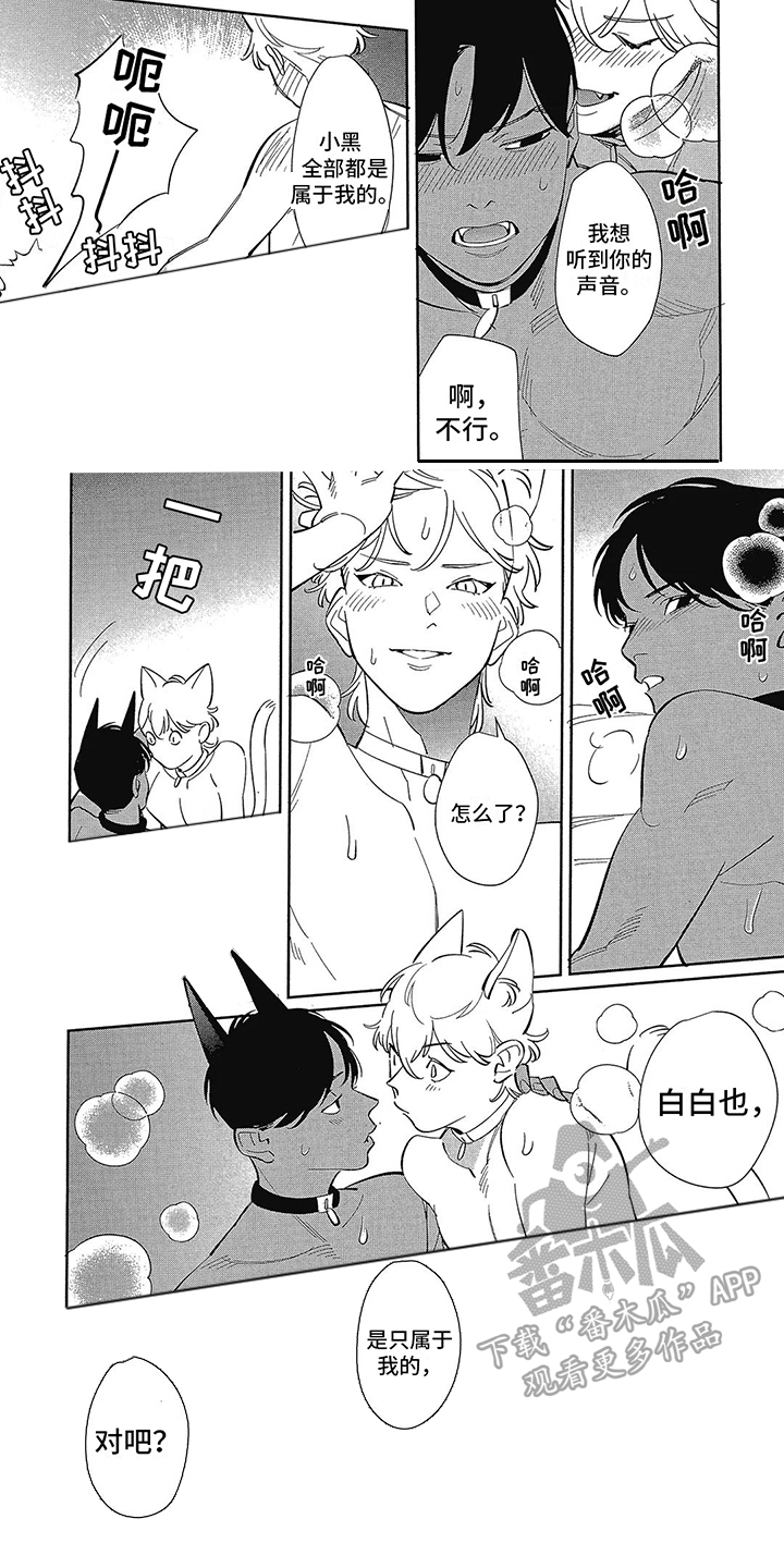 猫狗一家亲漫画免费漫画,第15章：【番外】礼物盒2图