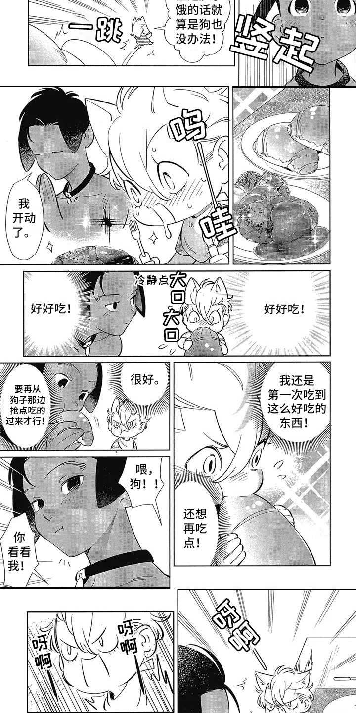 猫狗一家亲免费阅读漫画,第2章：桀骜不驯1图