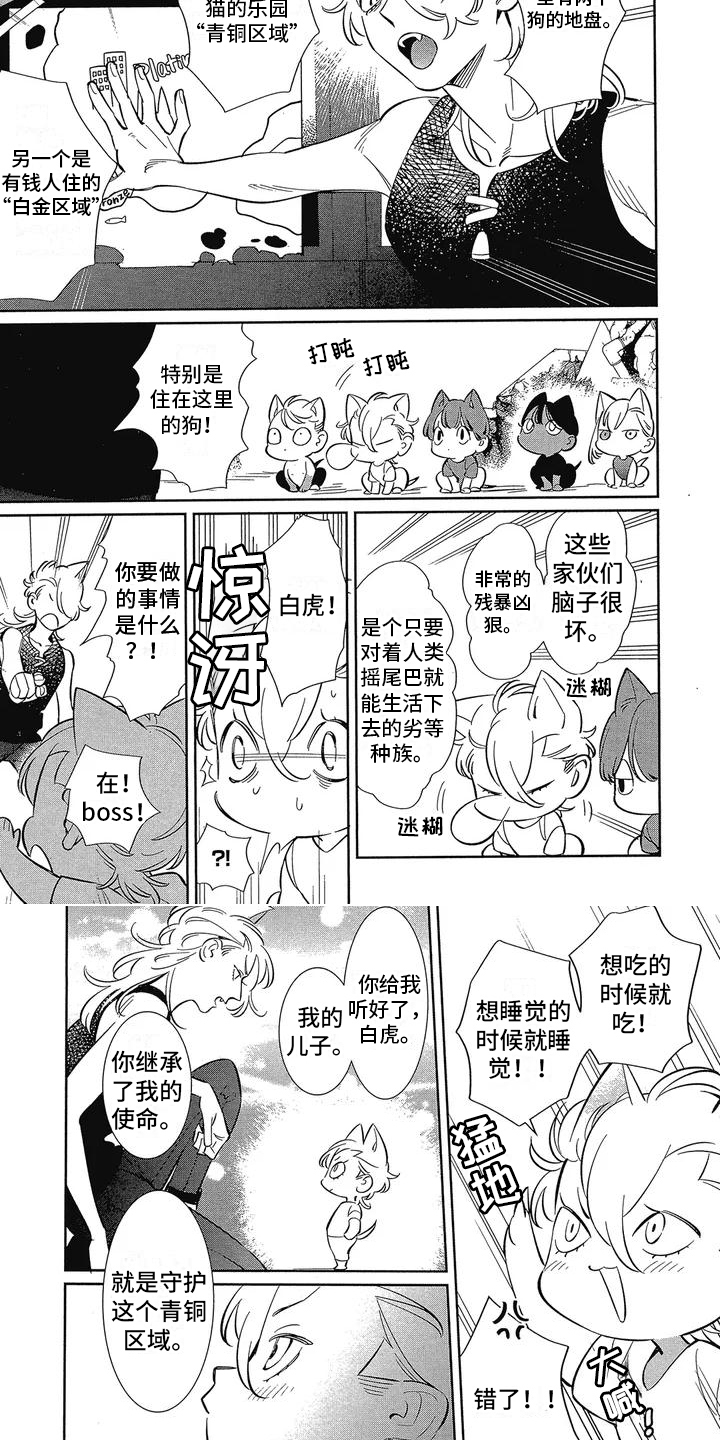 猫狗一家亲绘本漫画,第1章：新家人2图