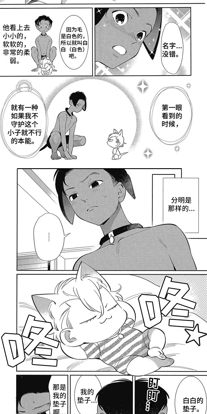 猫狗一家亲歌曲漫画,第1章：新家人2图