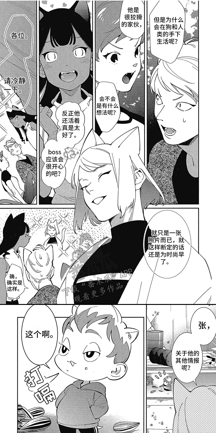 猫狗一年生几胎漫画,第7章：装睡 1图