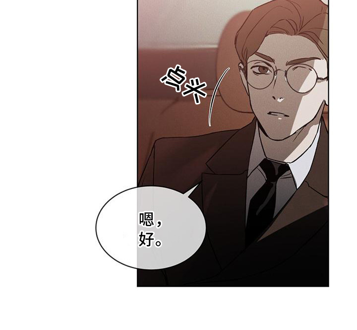 凶险任务漫画免费漫画,第13章：劫持1图