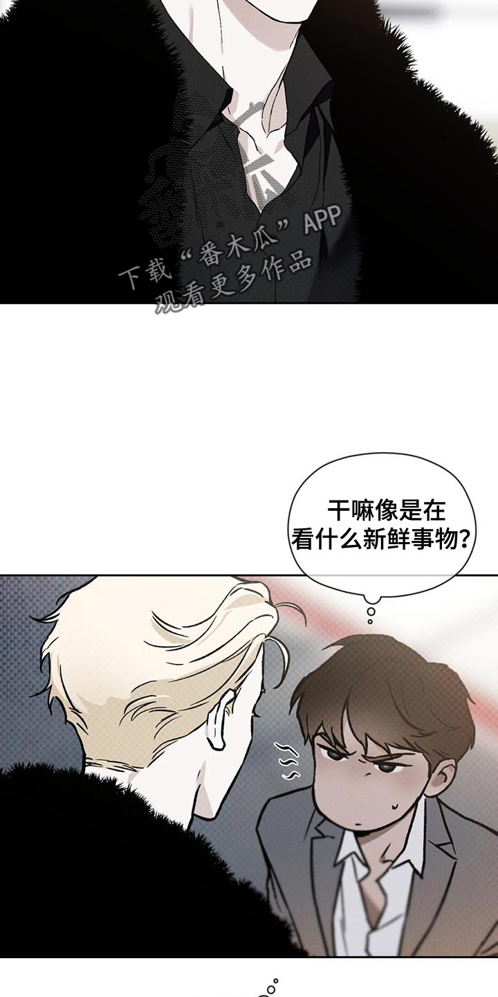 凶险任务漫画免费漫画,第27章：土洞1图