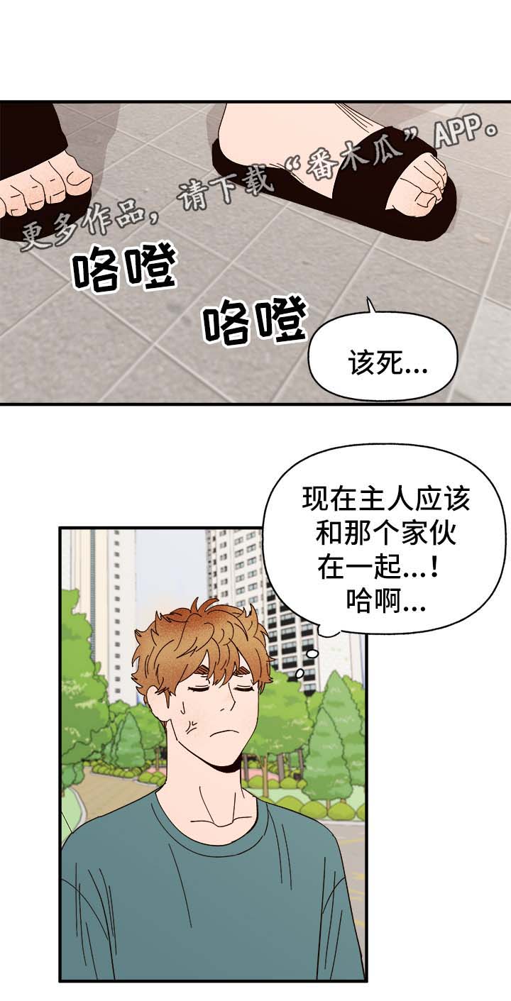 爱宠旅游攻略漫画,第33章：狗神1图