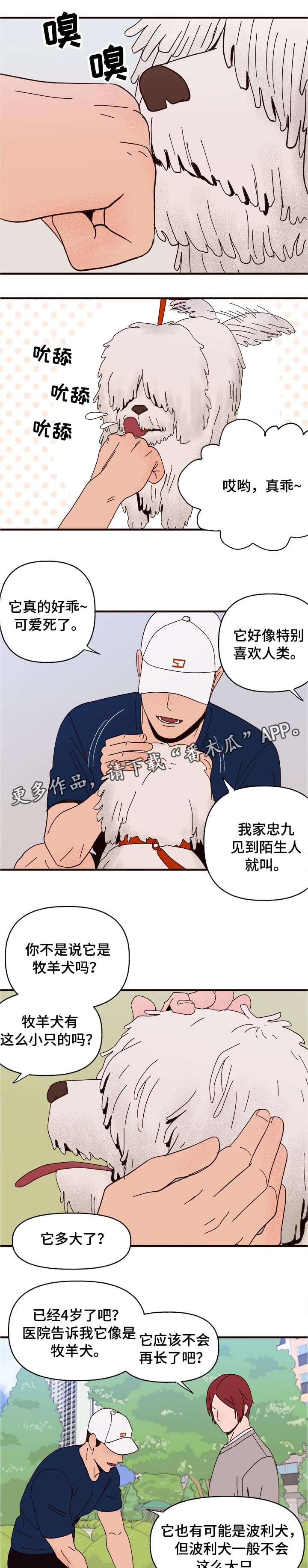 爱宠大机密英文版漫画,第10章：谎言1图