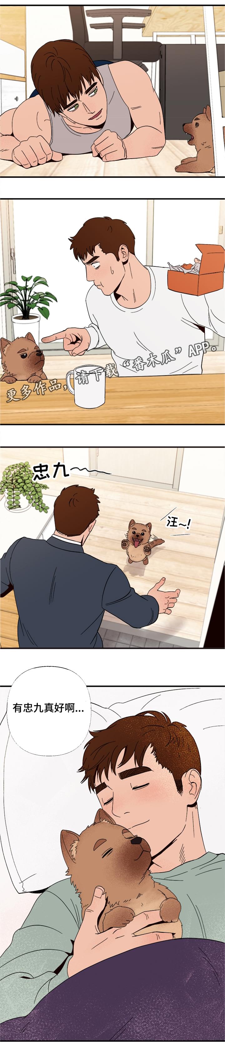 心宠攻略漫画,第6章：惩罚1图