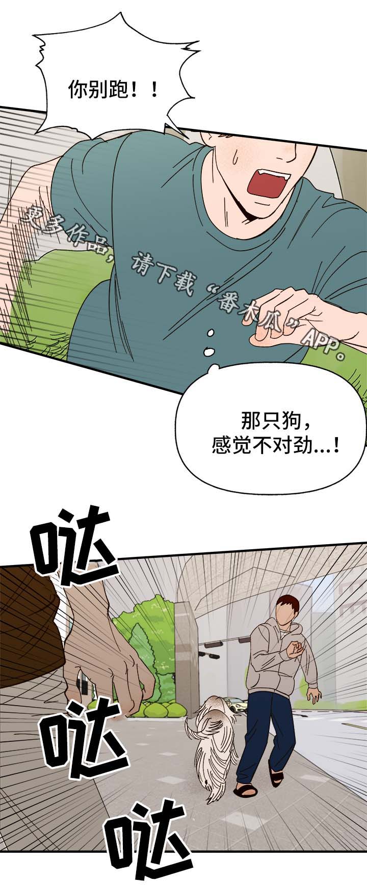 爱宠攻略别名漫画,第33章：狗神2图