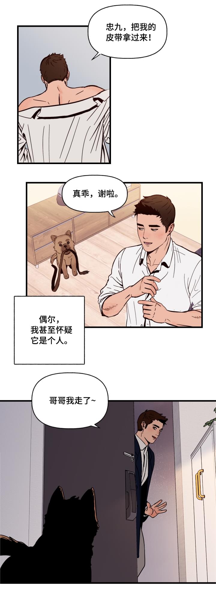 爱宠攻略漫画百度云漫画,第1章：袭击1图