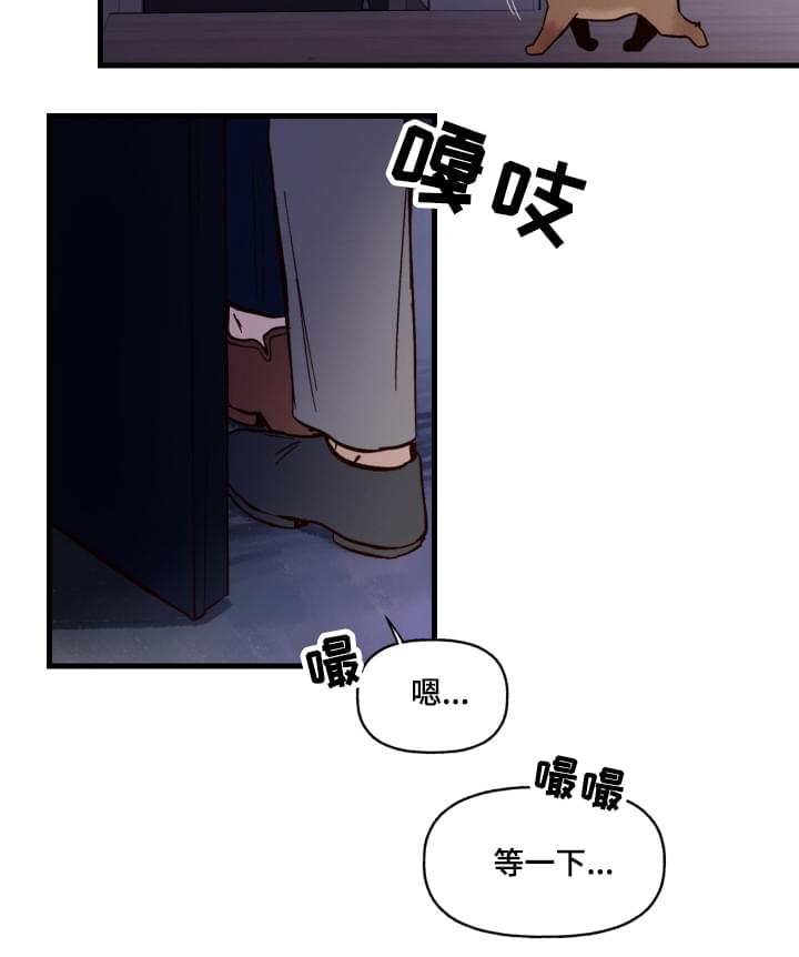 爱宠攻略漫画百度云漫画,第1章：袭击1图