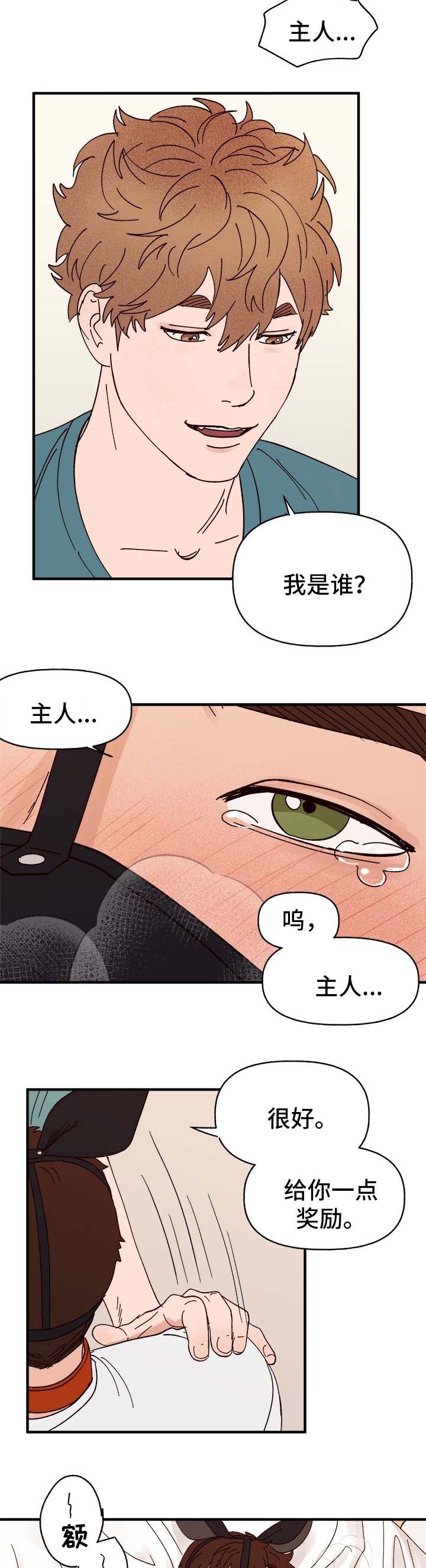 爱宠日常养护方法漫画,第29章：我是谁?2图