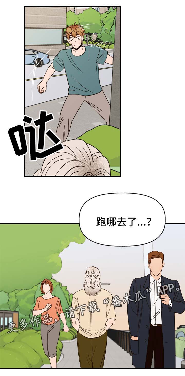 爱宠旅游攻略漫画,第33章：狗神1图