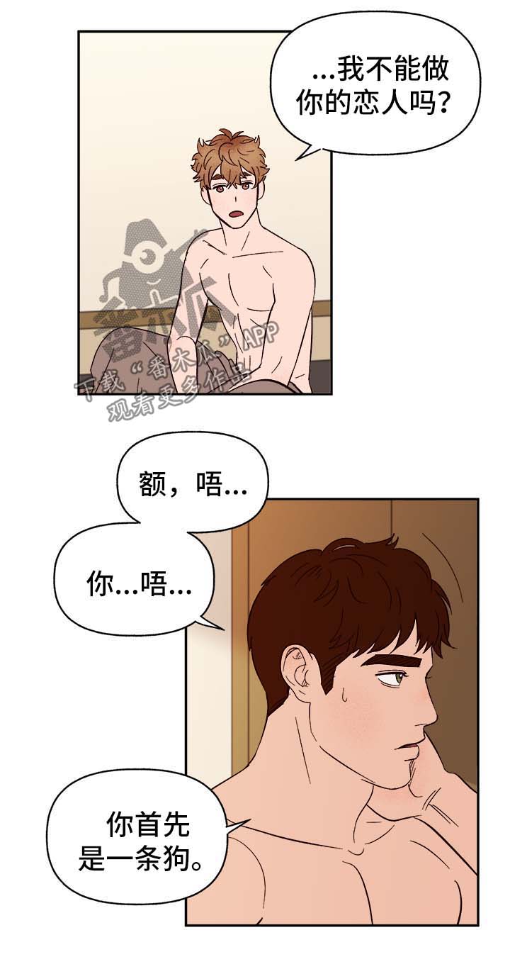 爱宠攻略漫画,第41章：首先你是只狗1图