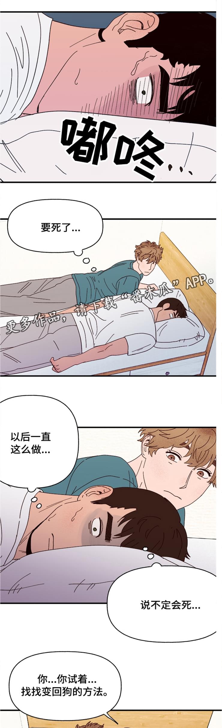 爱宠攻略漫画,第18章：可爱的坏人1图