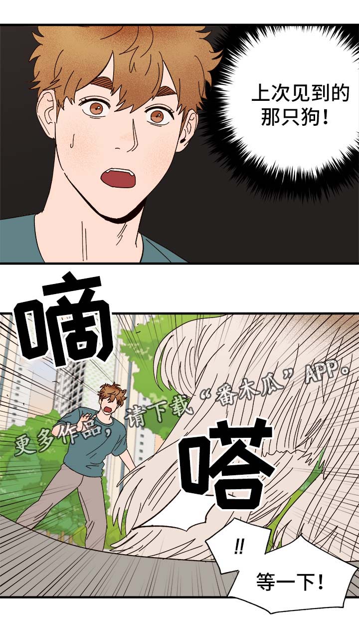 爱宠攻略别名漫画,第33章：狗神1图