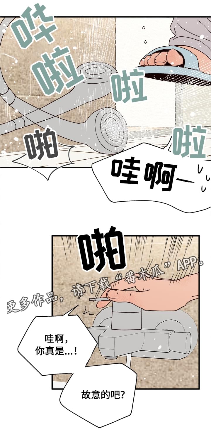 爱宠攻略在一耽上叫什么00漫画,第14章：洗澡2图