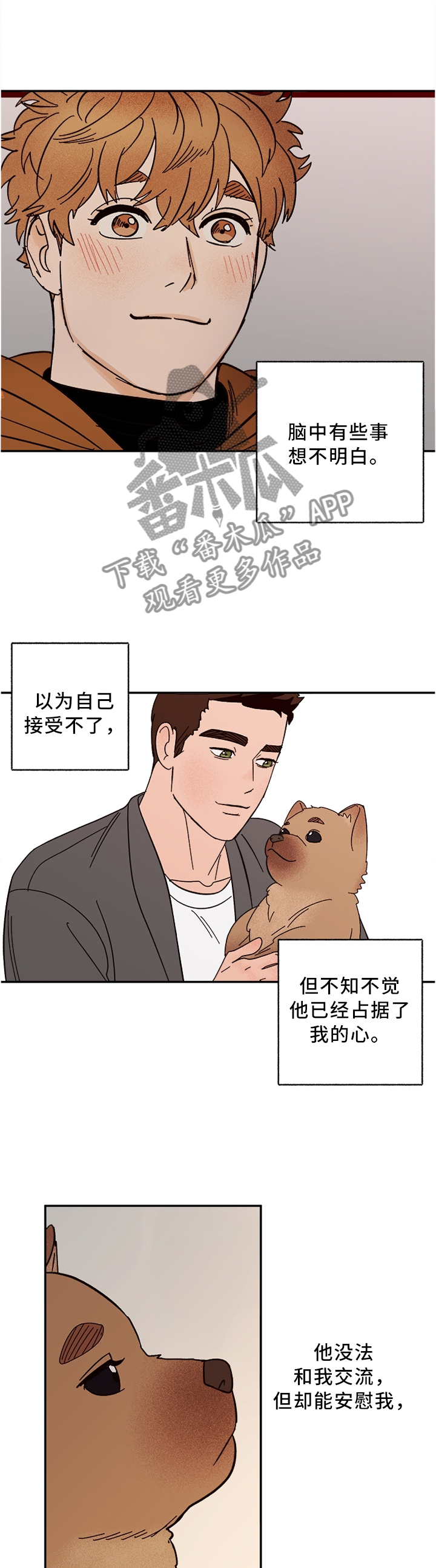 爱宠大机密图片漫画,第70章：新的开始(完结)2图