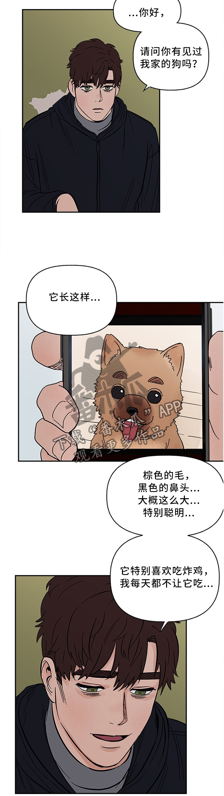 心宠攻略漫画,第62章：失去主人的”狗”1图